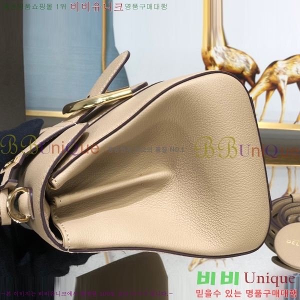 #���� �긮�ӹ� �̴� DV0020-5