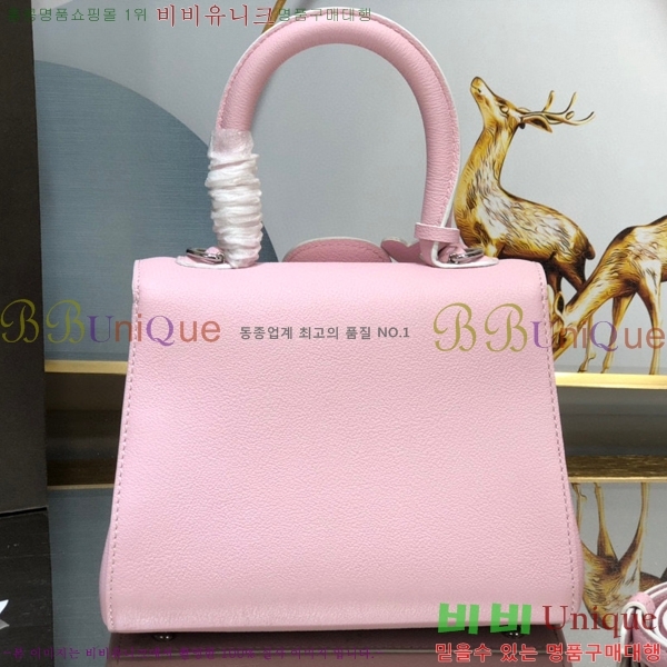 #���� �긮�ӹ� �̴� DV0020-12