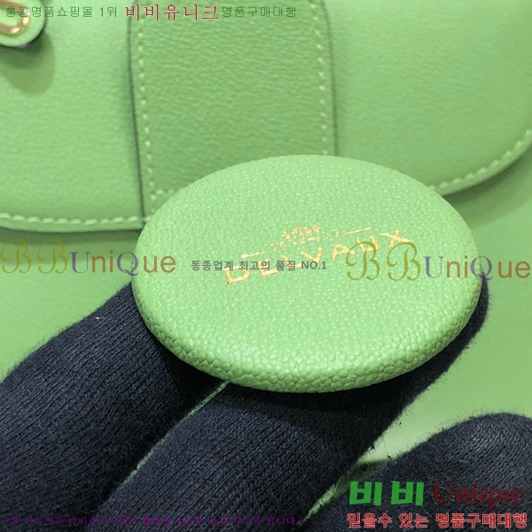 #���� �긮�ӹ� �̴� DV0020-13