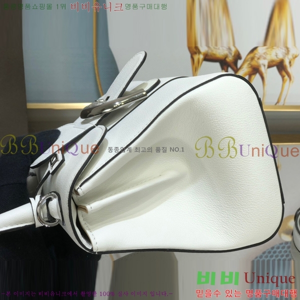 #���� �긮�ӹ� �̴� DV0020-15