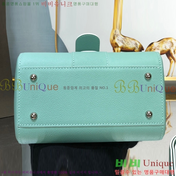 #���� �긮�ӹ� �̴� DV0020-16