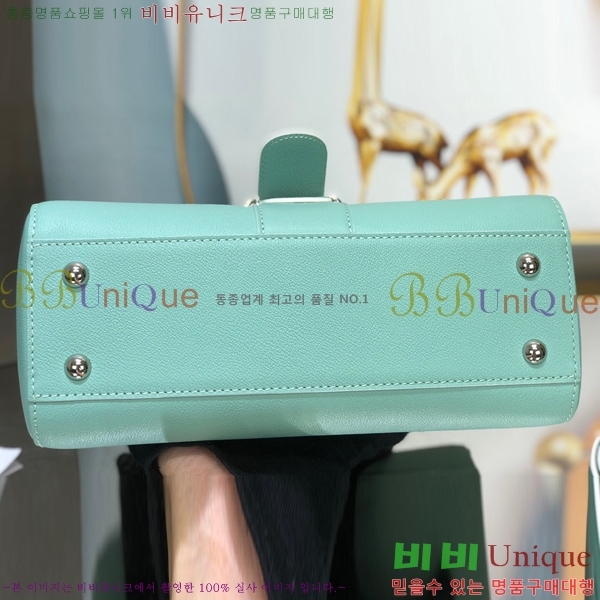 #���� �긮�ӹ� DS0028-10
