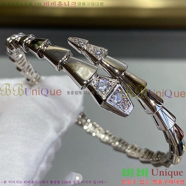 �Ұ��� ���� BV330131