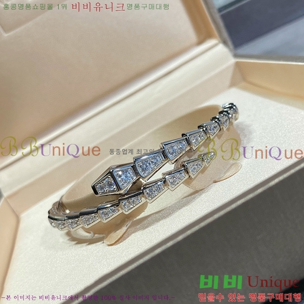 �Ұ��� ���� BV330133