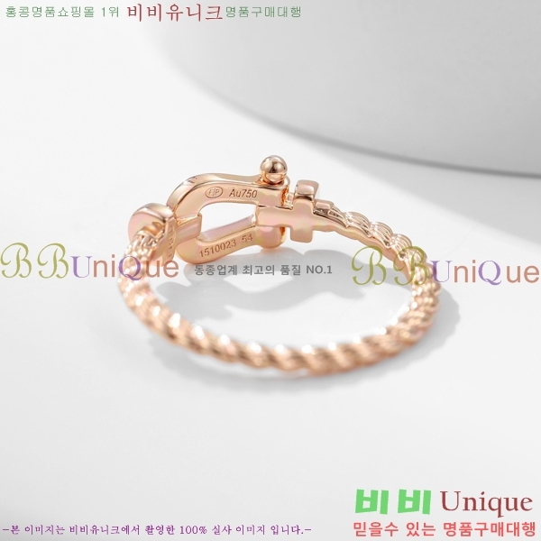 ������ ���� FR31035-2