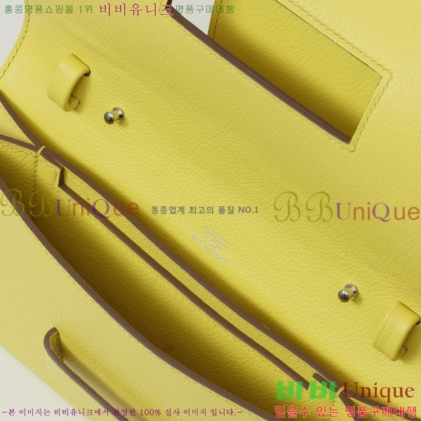 #�����޽� H �Ļ� Ŭ��ġ�� PA210290-2
