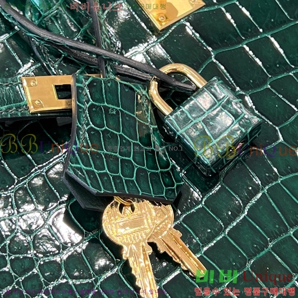 #�����޽� ��Ų�� 25 hcp moreletii crocodile 35HE856621-1006