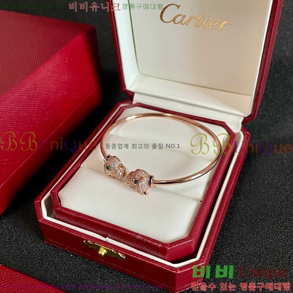 ��쿡 ���� CAR10223-3