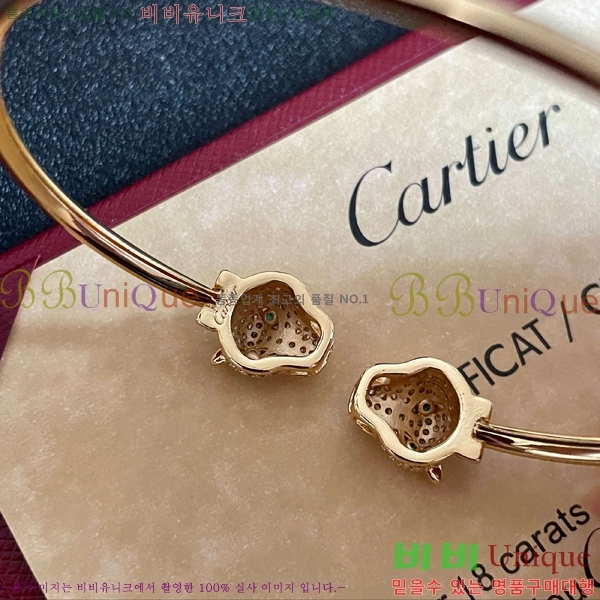 ��쿡 ���� CAR10223-3