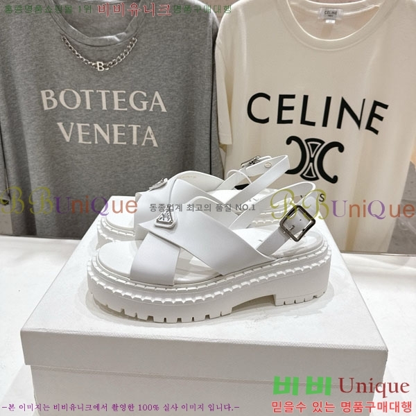 ���� ����� ���� 1P2500666-2
