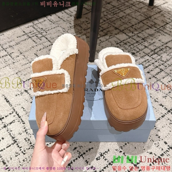 ���� ����� �� ������ P5560221-2