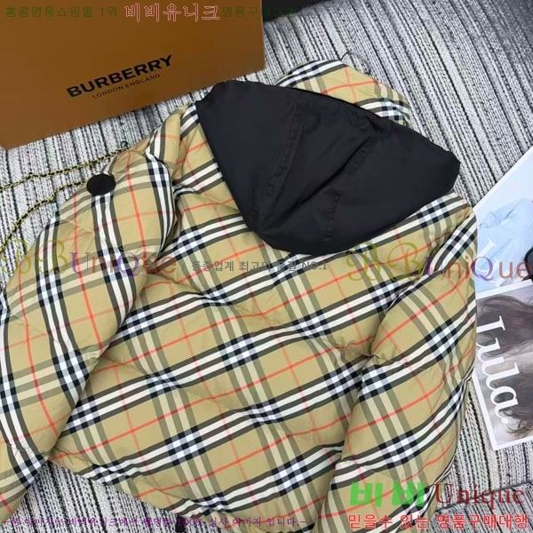 ���� ������ �ٿ� �е� BU2334507-2