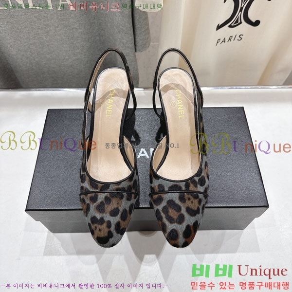���� ��* ������ ������ MV6546603  �� 6.5cm