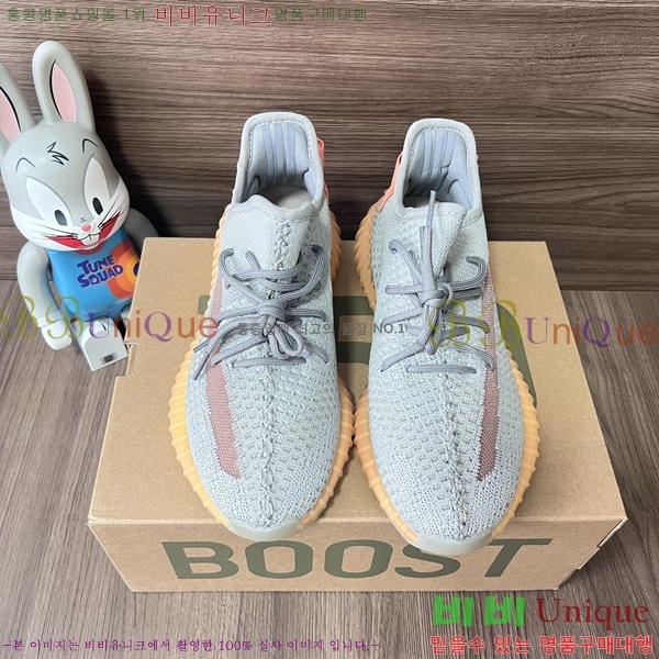 �Ƶ�ٽ� �����ν�Ʈ 350 AD52621066-15