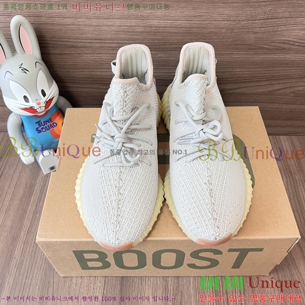 �Ƶ�ٽ� �����ν�Ʈ 350 AD52621066-10