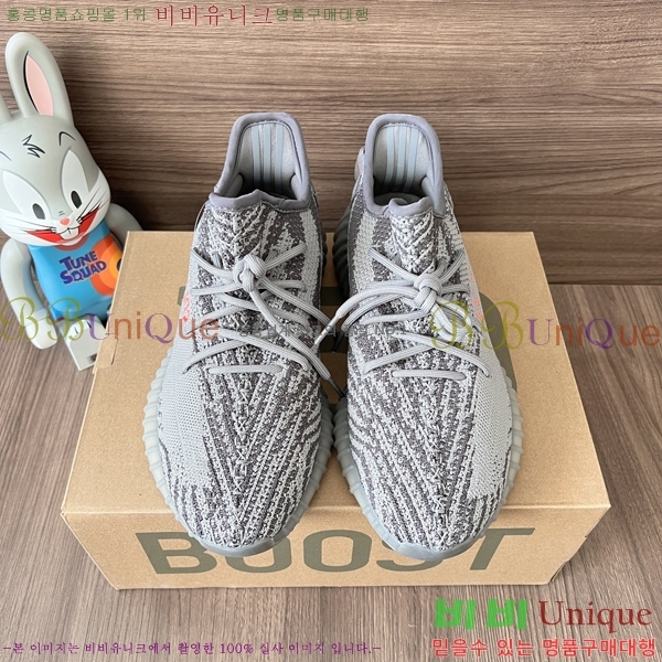�Ƶ�ٽ� �����ν�Ʈ 350 AD52621066-4