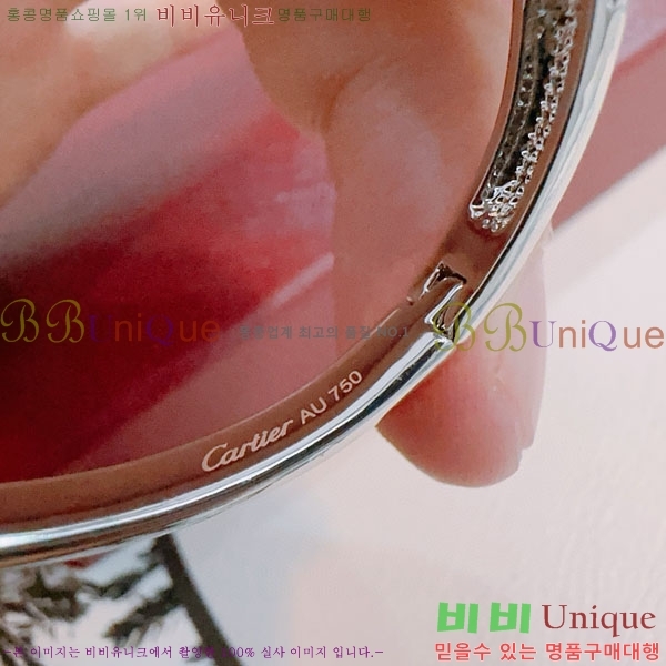 �������� ��쿡 ���� CA333520-1