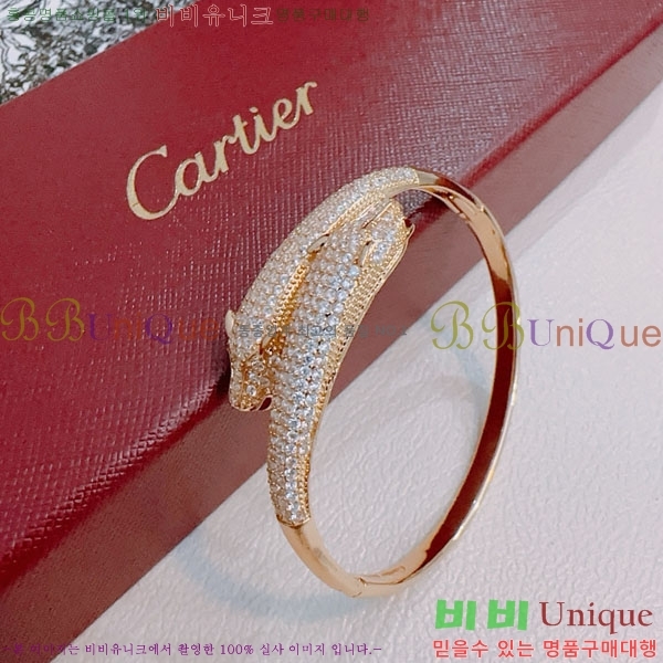�������� ��쿡 ���� CA333520-2